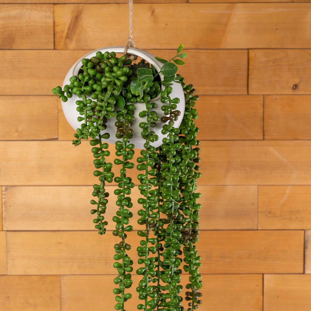 Faux String of Pearls Succulent Pick