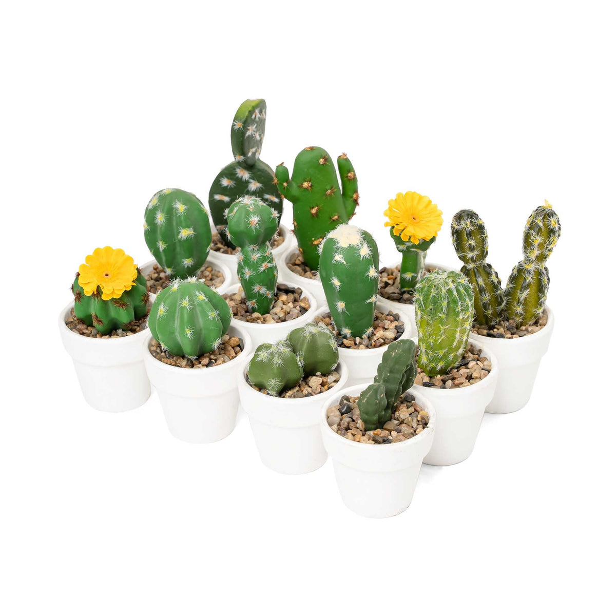 Artificial Assorted Potted Cactus - Set of 12
