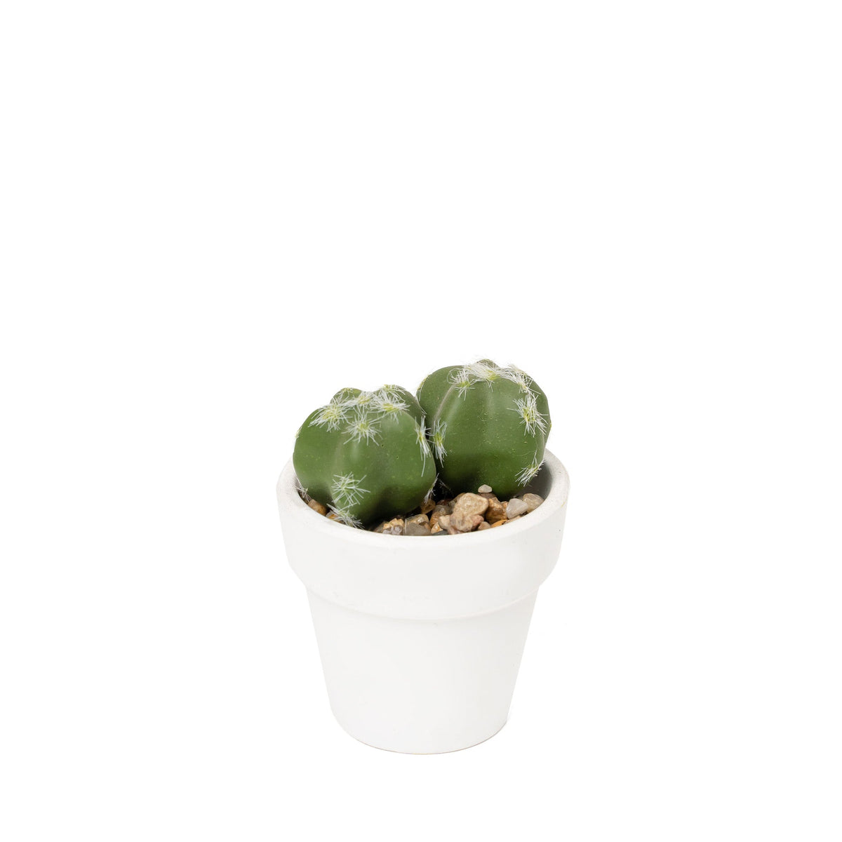 Artificial Assorted Potted Cactus - Set of 12