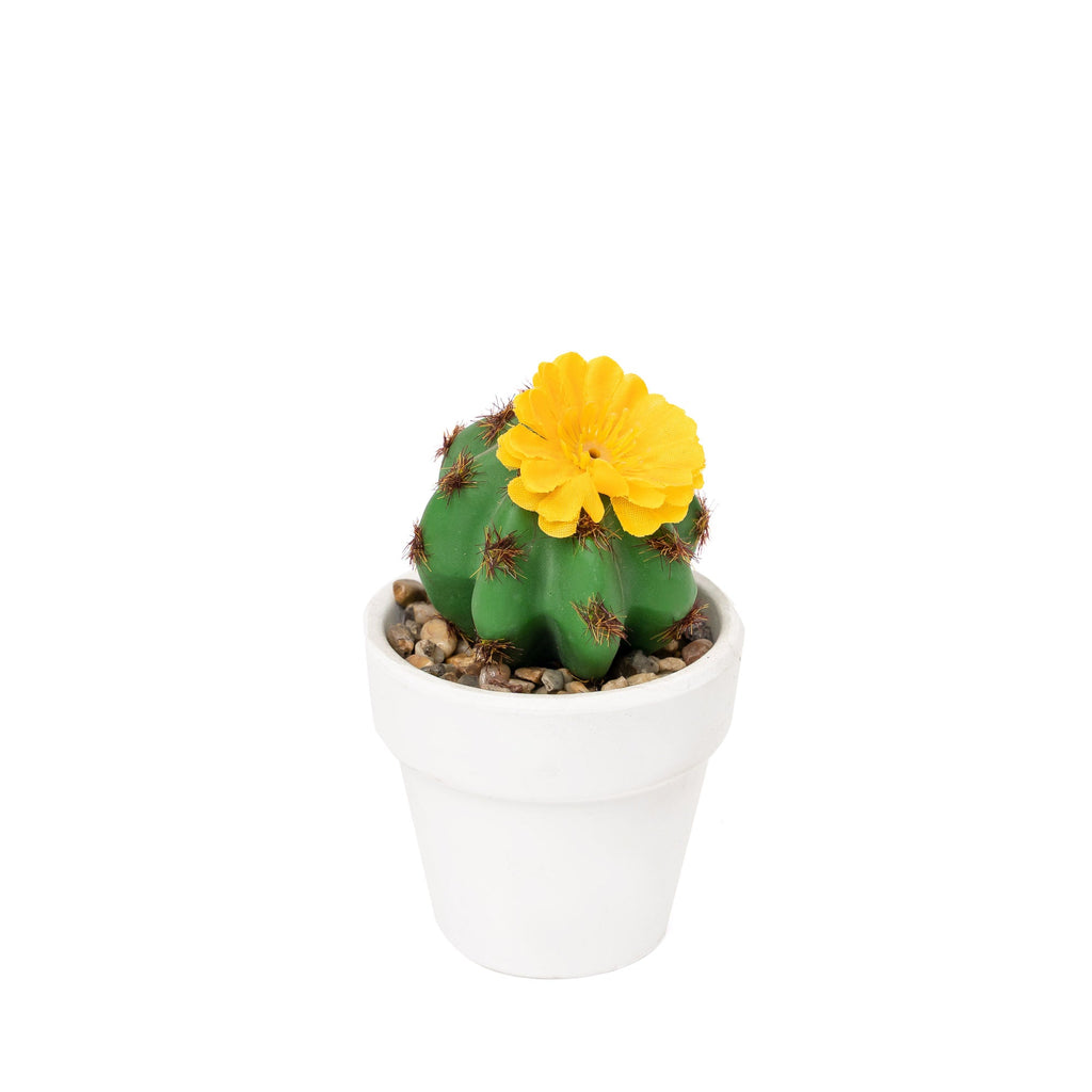 Artificial Assorted Potted Cactus - Set of 12