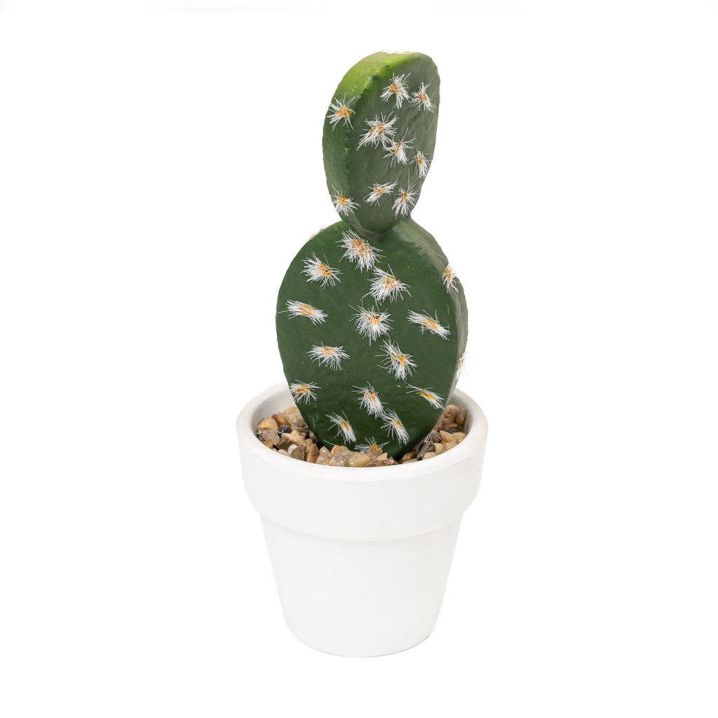 Artificial Assorted Potted Cactus - Set of 12
