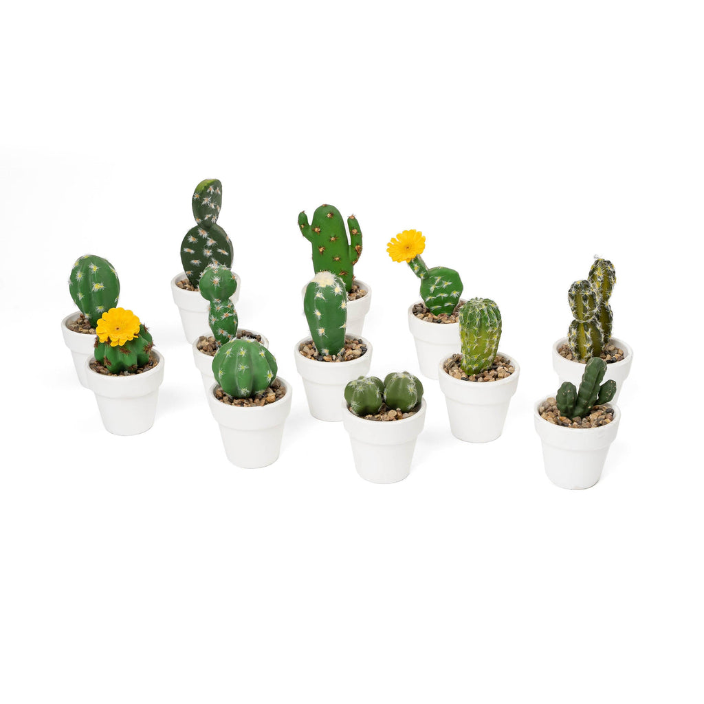 Artificial Assorted Potted Cactus - Set of 12