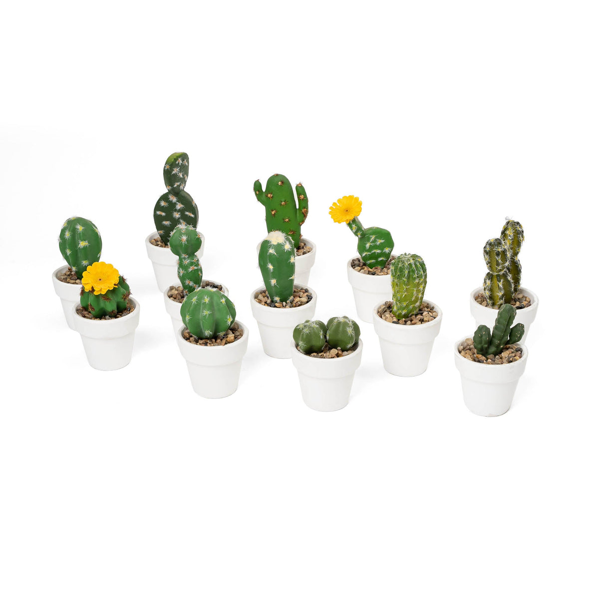 Artificial Assorted Potted Cactus - Set of 12
