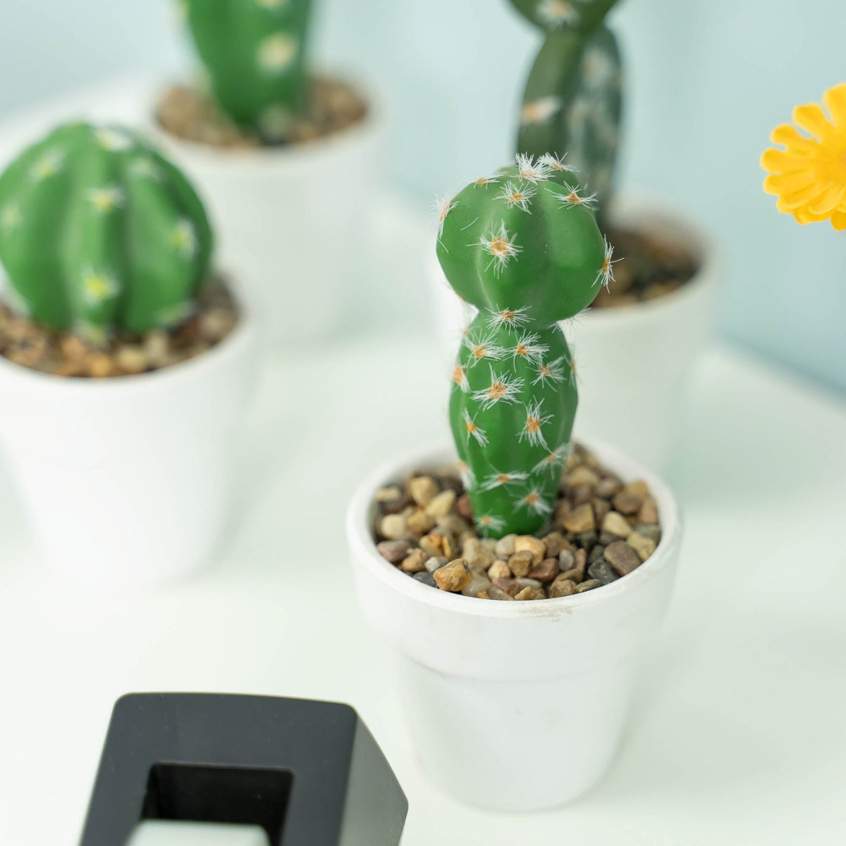 Artificial Assorted Potted Cactus - Set of 12