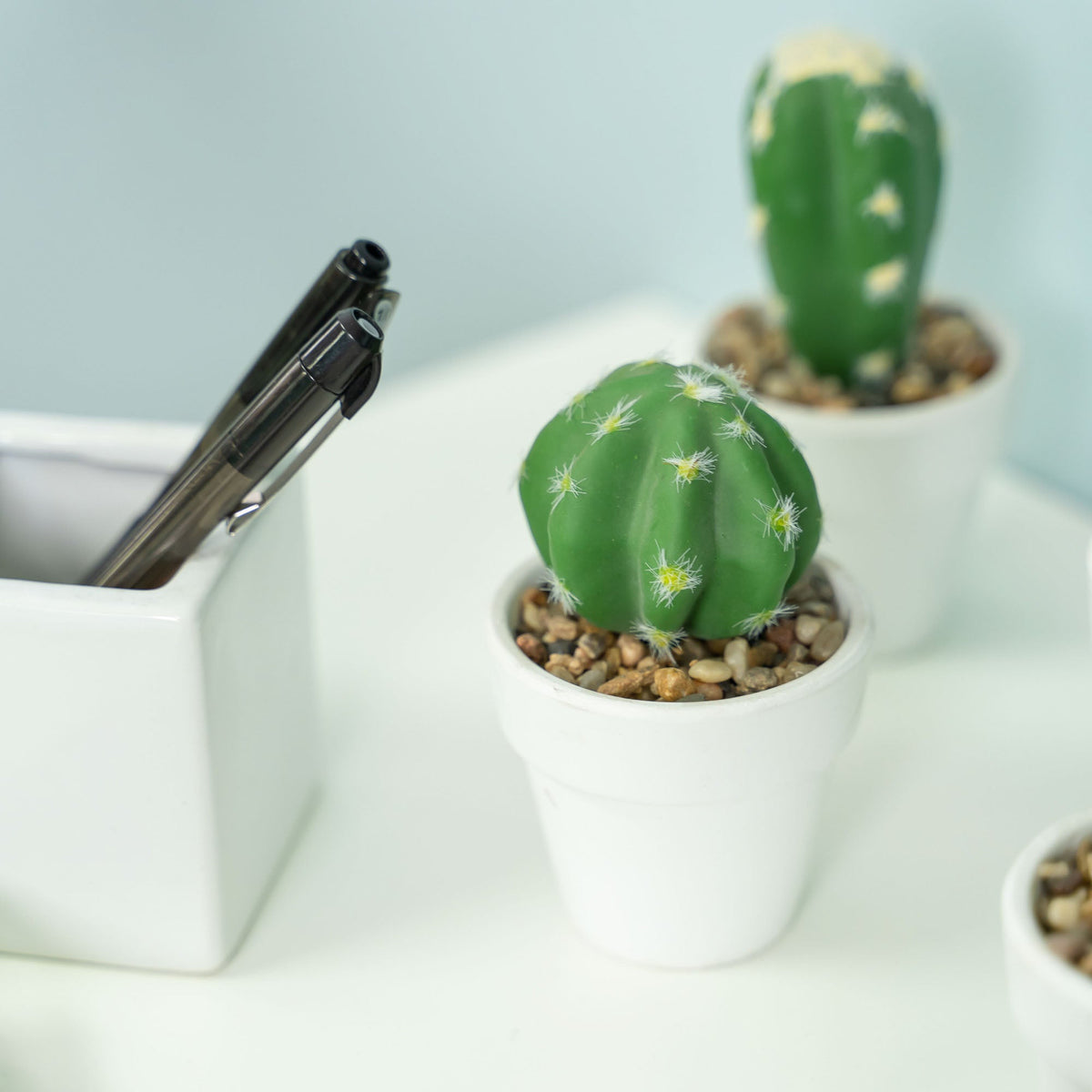 Artificial Assorted Potted Cactus - Set of 12