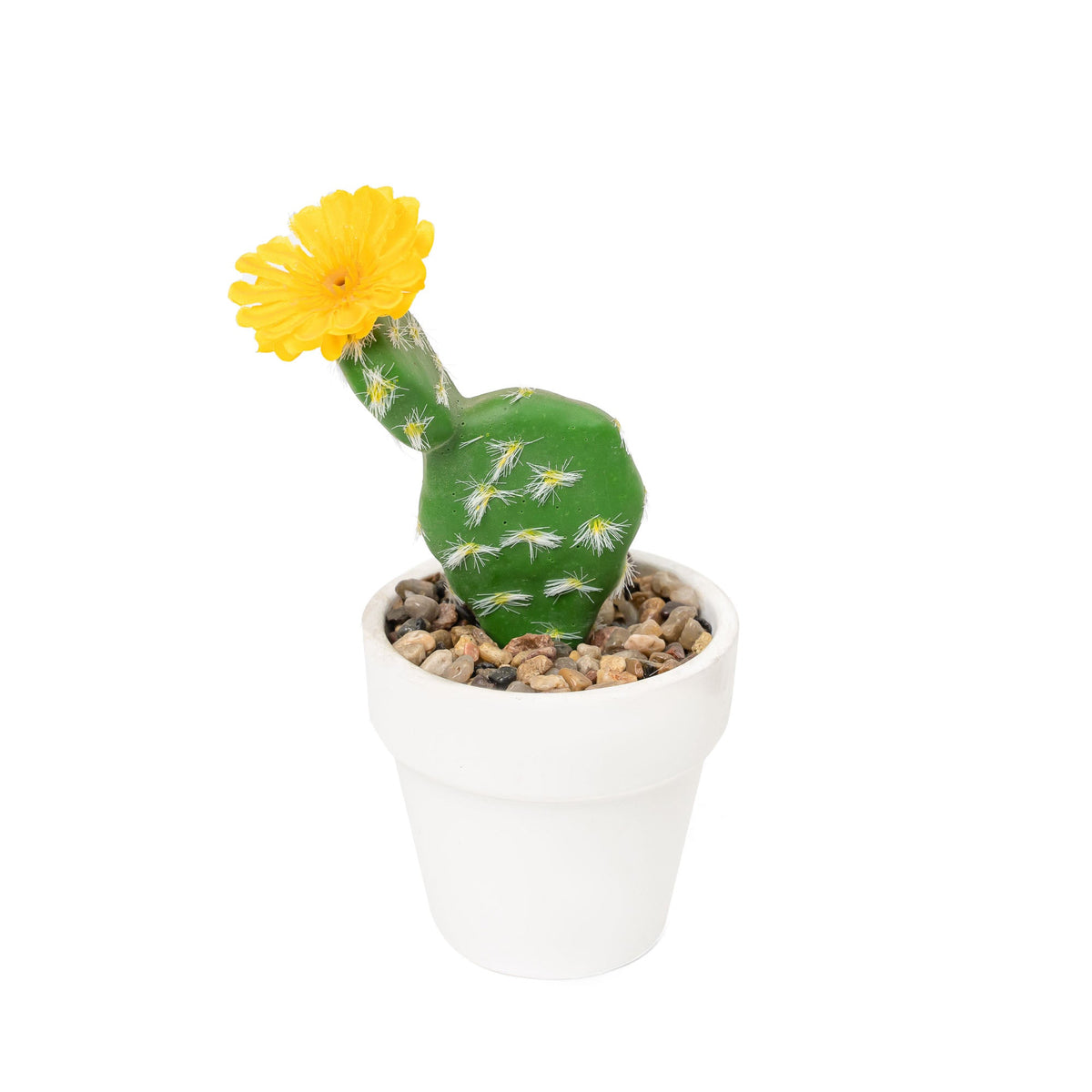 Artificial Assorted Potted Cactus - Set of 12