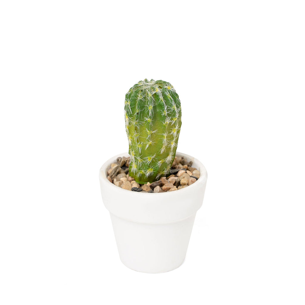 Artificial Assorted Potted Cactus - Set of 12