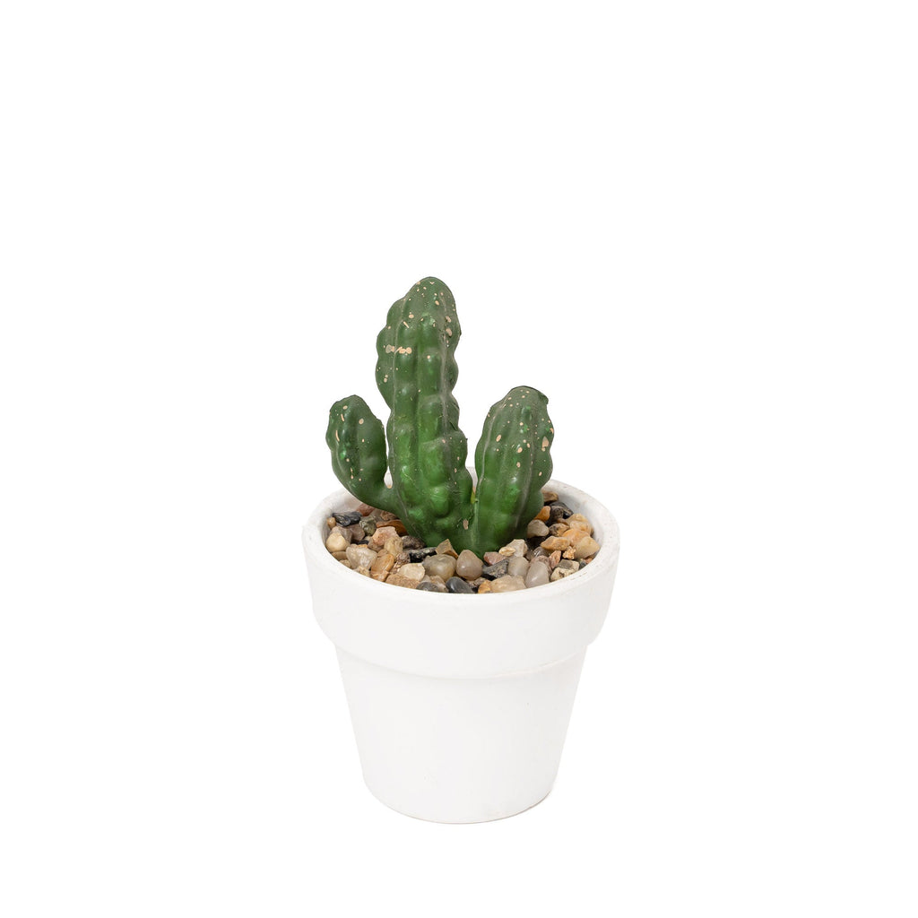Artificial Assorted Potted Cactus - Set of 12