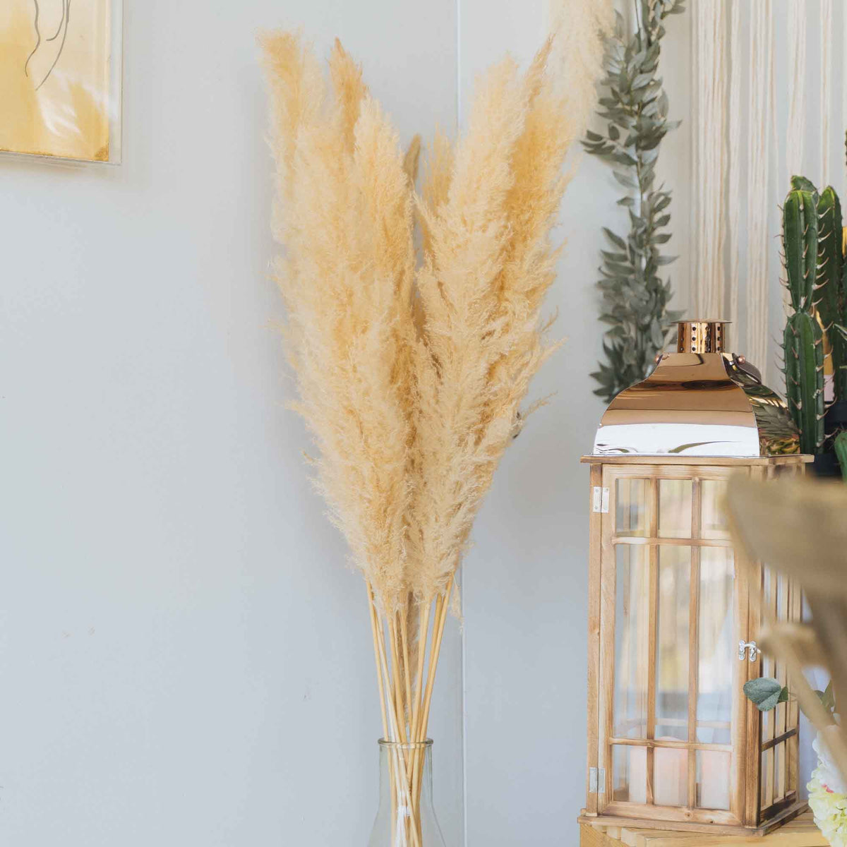 Natural Dried Giant Pampas Grass Stem