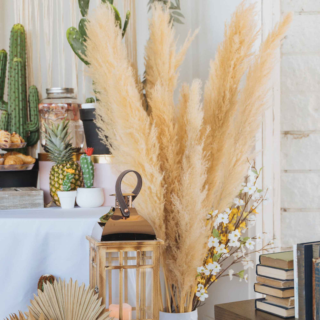 Natural Dried Giant Pampas Grass Stem