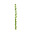 Artificial Ruscus Leaf Garland