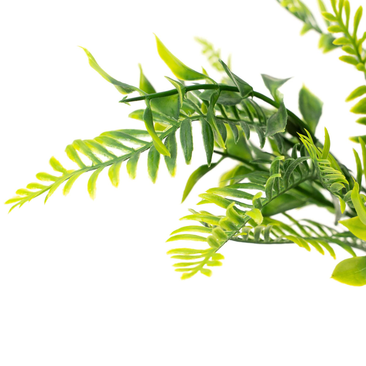 Faux Boxwood and Fern Spray