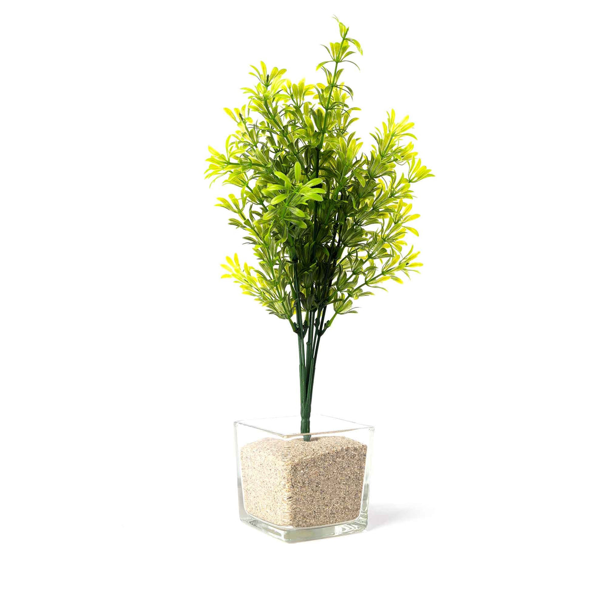 Yellow Faux Boxwood Spray 14"