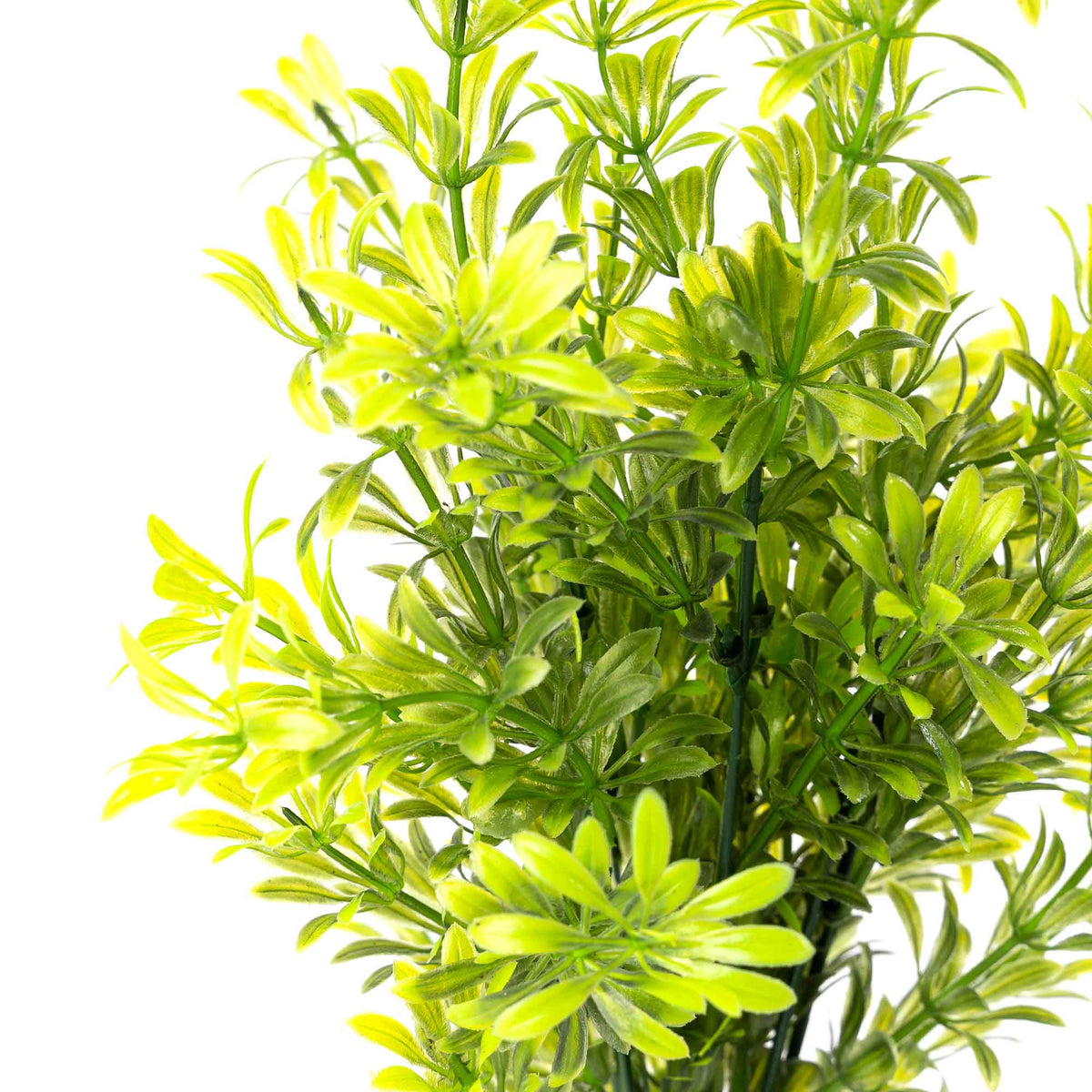 Yellow Faux Boxwood Spray 14"