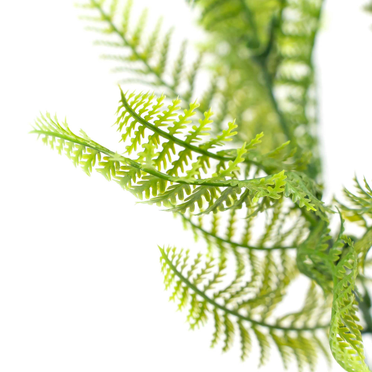 Faux Fern Spray
