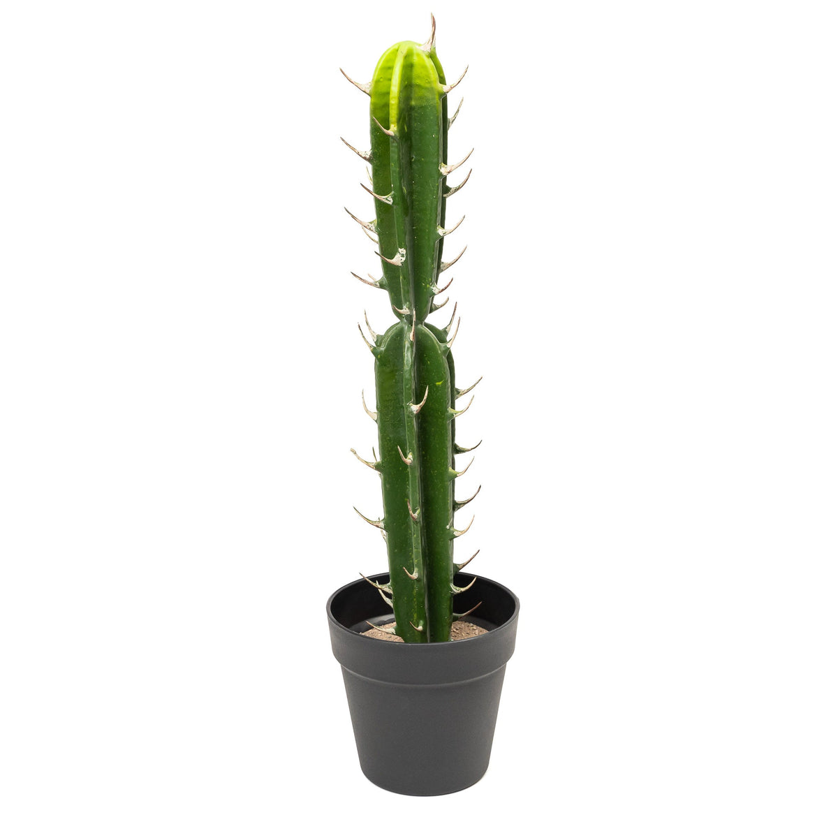 Faux San Pedro Cactus with Plastic Pot