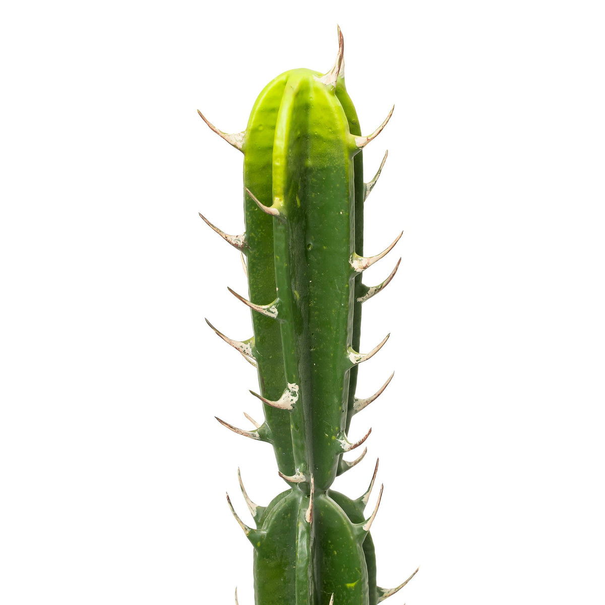 Faux San Pedro Cactus with Plastic Pot