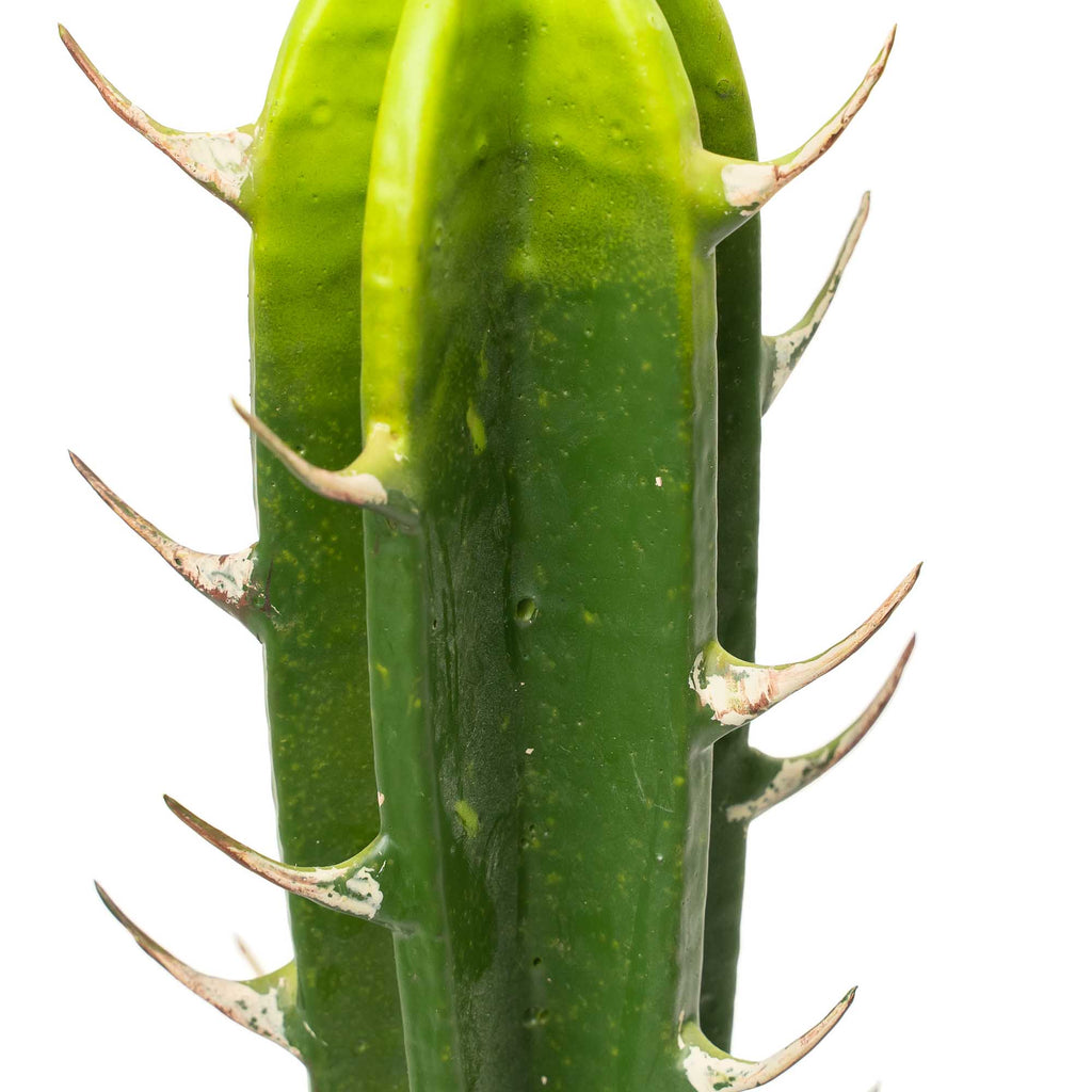 Faux San Pedro Cactus with Plastic Pot