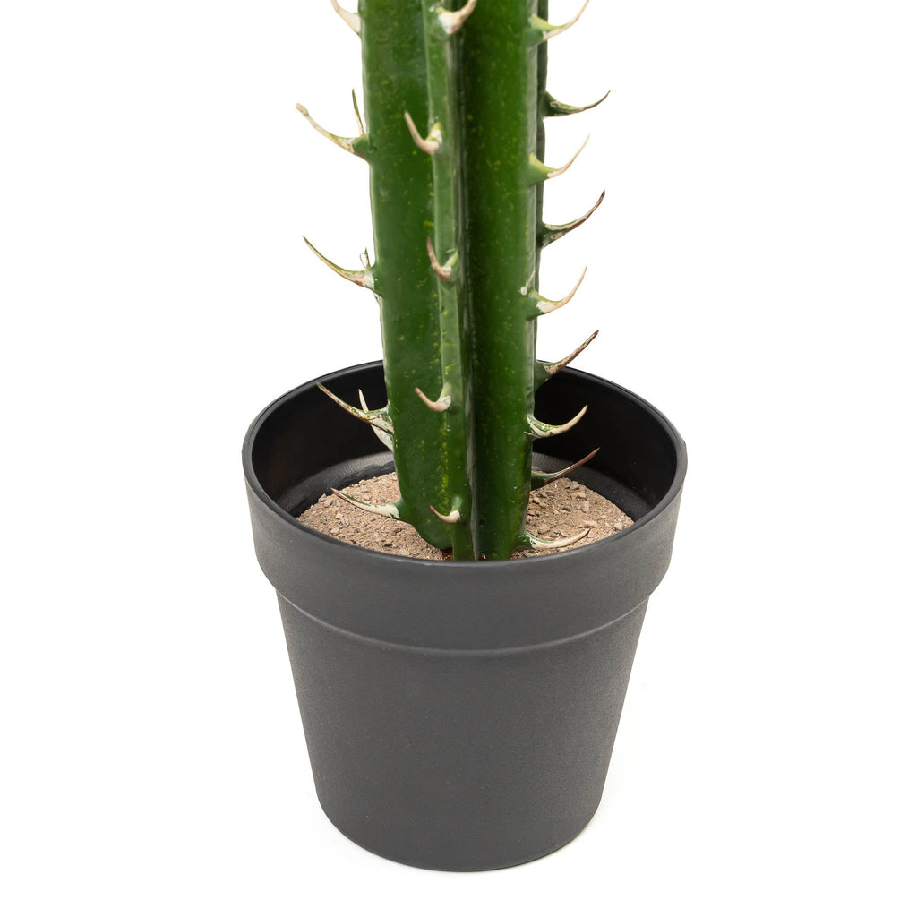 Faux San Pedro Cactus with Plastic Pot
