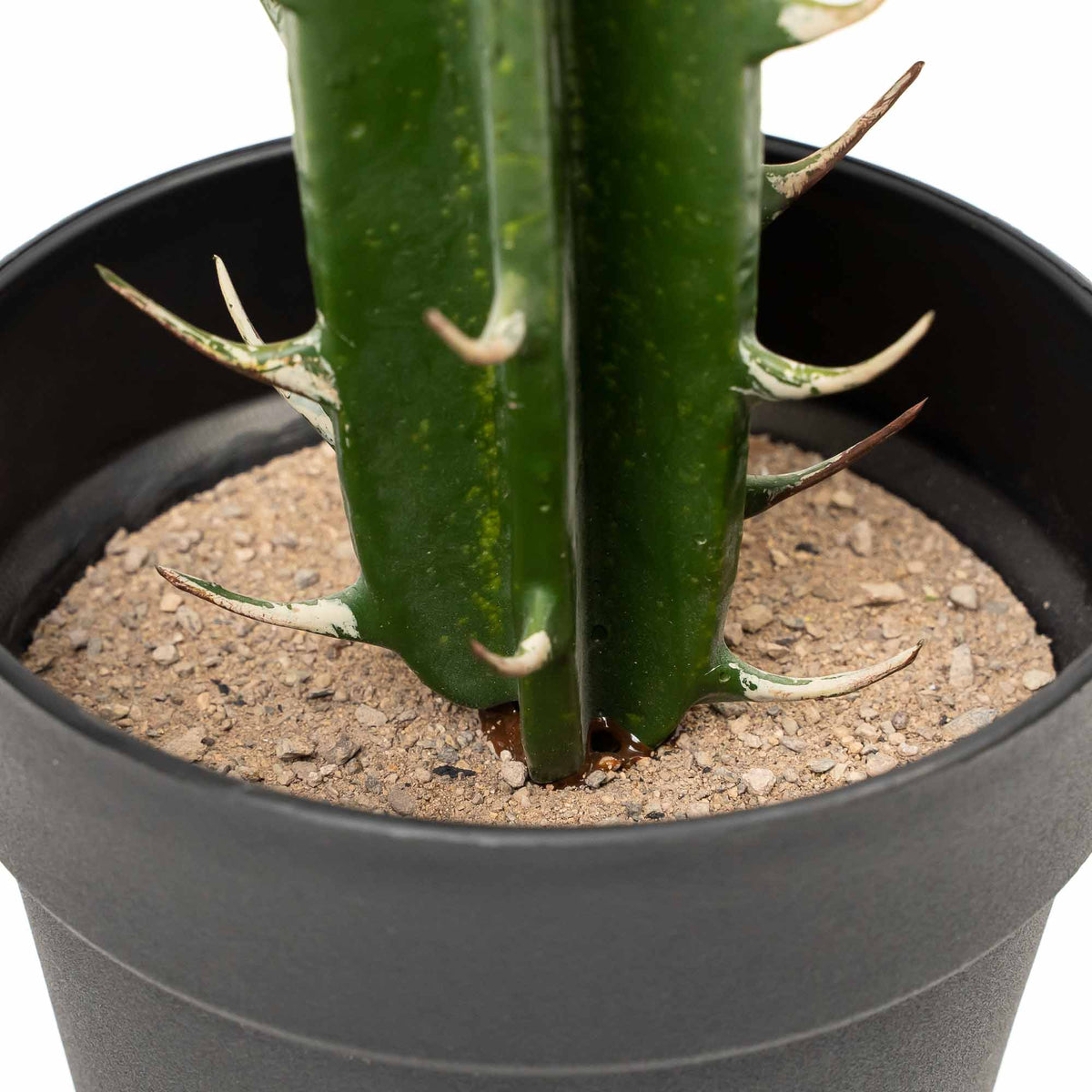 Faux San Pedro Cactus with Plastic Pot