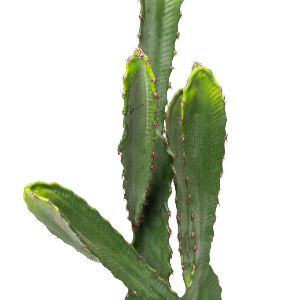 Faux Desert Candle Cactus with Plastic Pot 23"