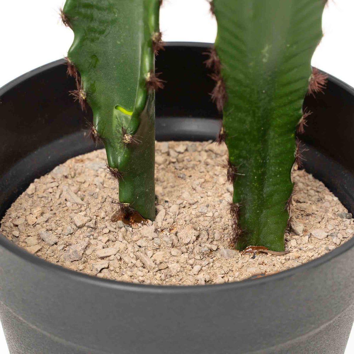 Faux Desert Candle Cactus with Plastic Pot 23"
