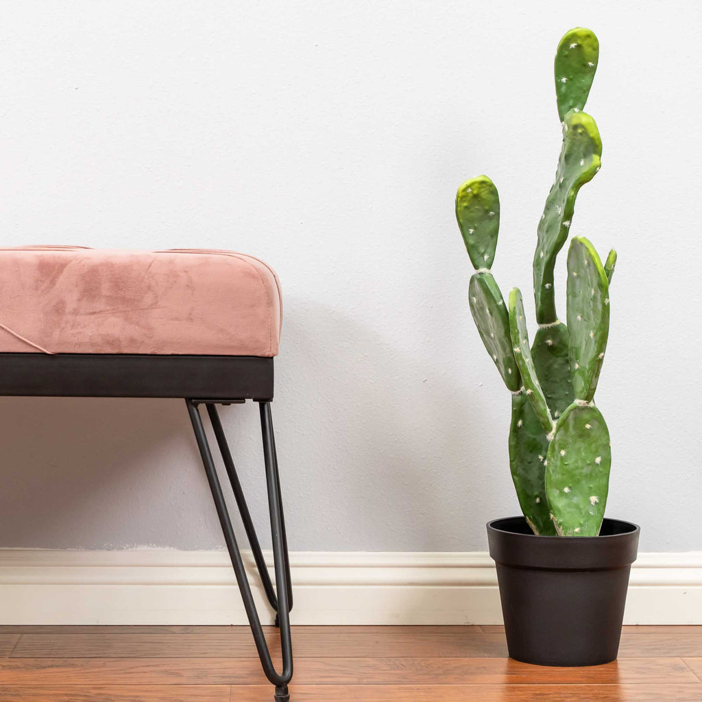 Faux Prickly Pear Cactus with Plastic Pot 30"