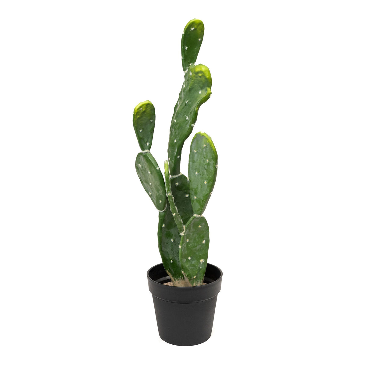 Faux Prickly Pear Cactus with Plastic Pot 30"