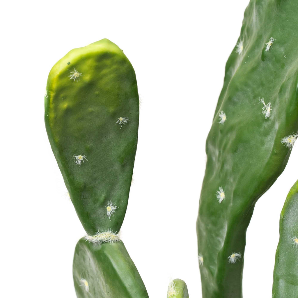 Faux Prickly Pear Cactus with Plastic Pot 30"