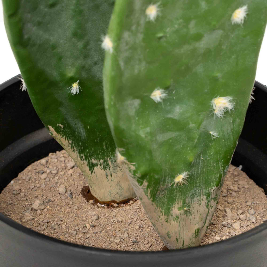 Faux Prickly Pear Cactus with Plastic Pot 30"