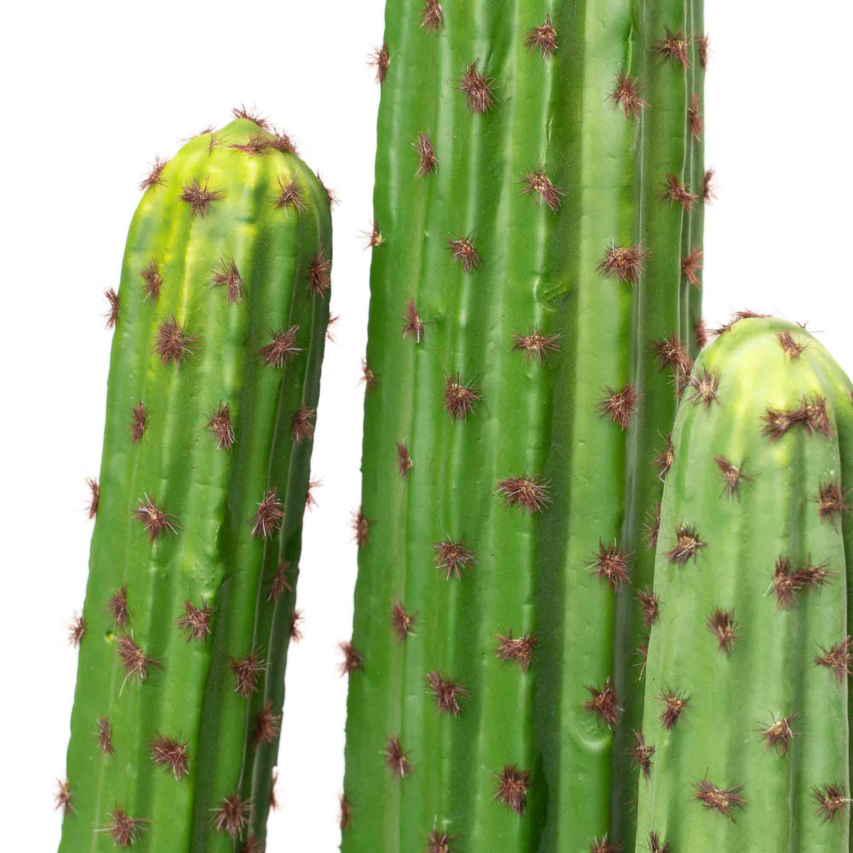 Faux Saguaro Cactus with Plastic Pot 28"