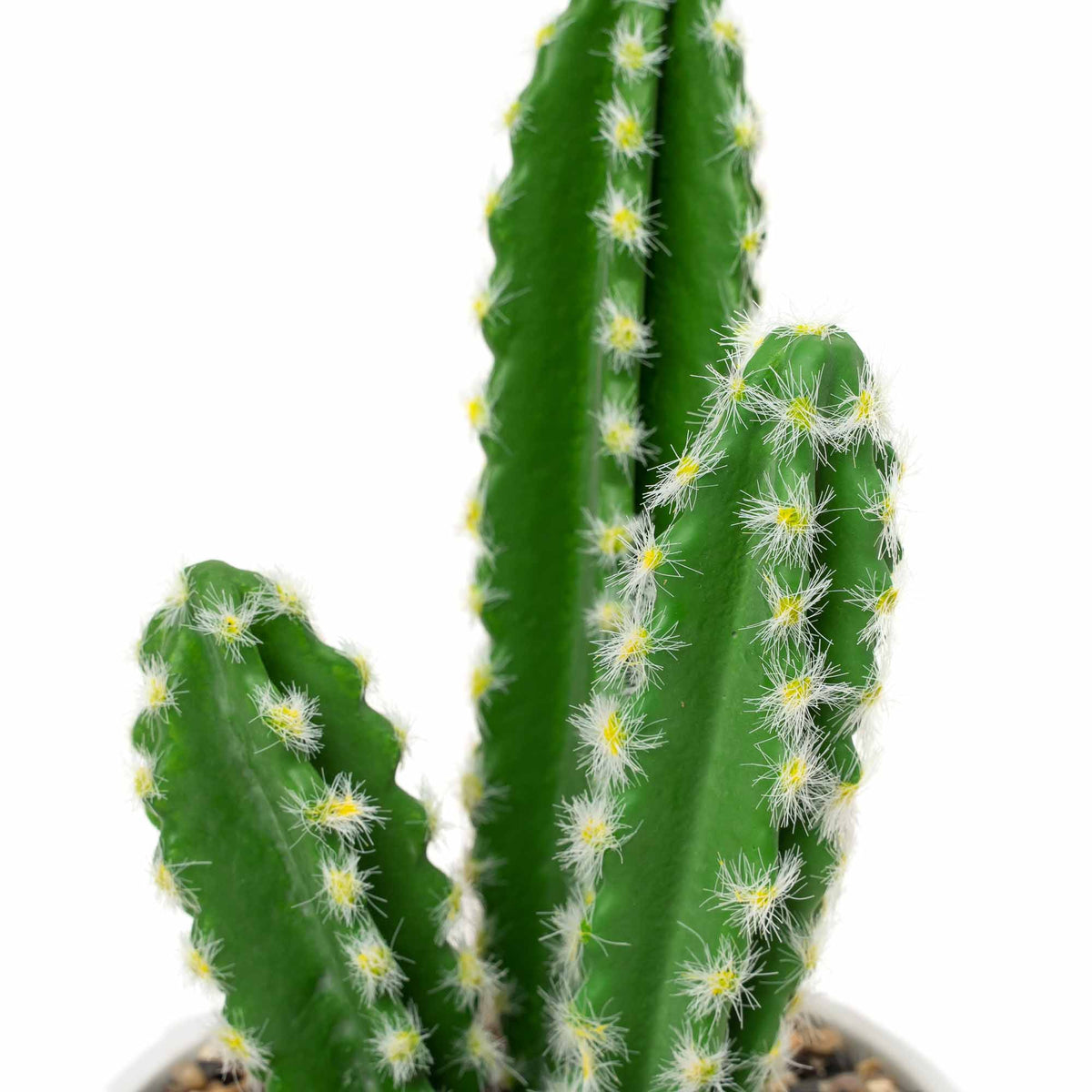 Faux Euphorbia Cactus with Ceramic Pot 12"