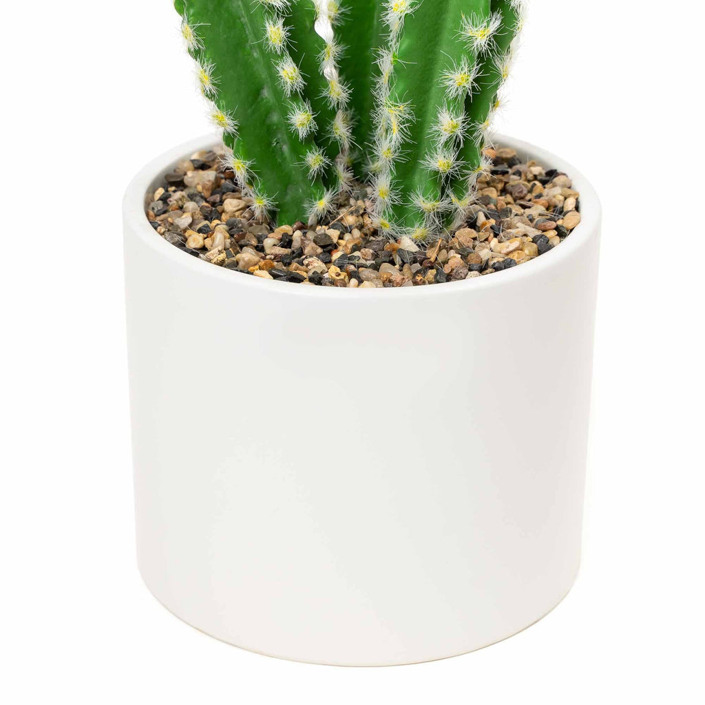 Faux Euphorbia Cactus with Ceramic Pot 12"