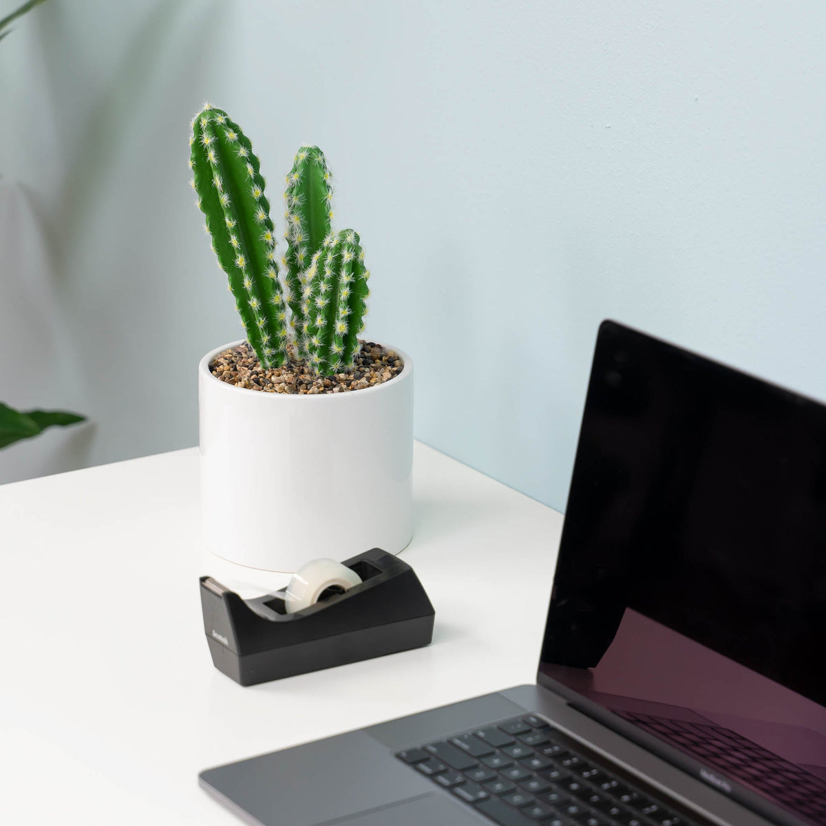 Faux Euphorbia Cactus with Ceramic Pot 12"