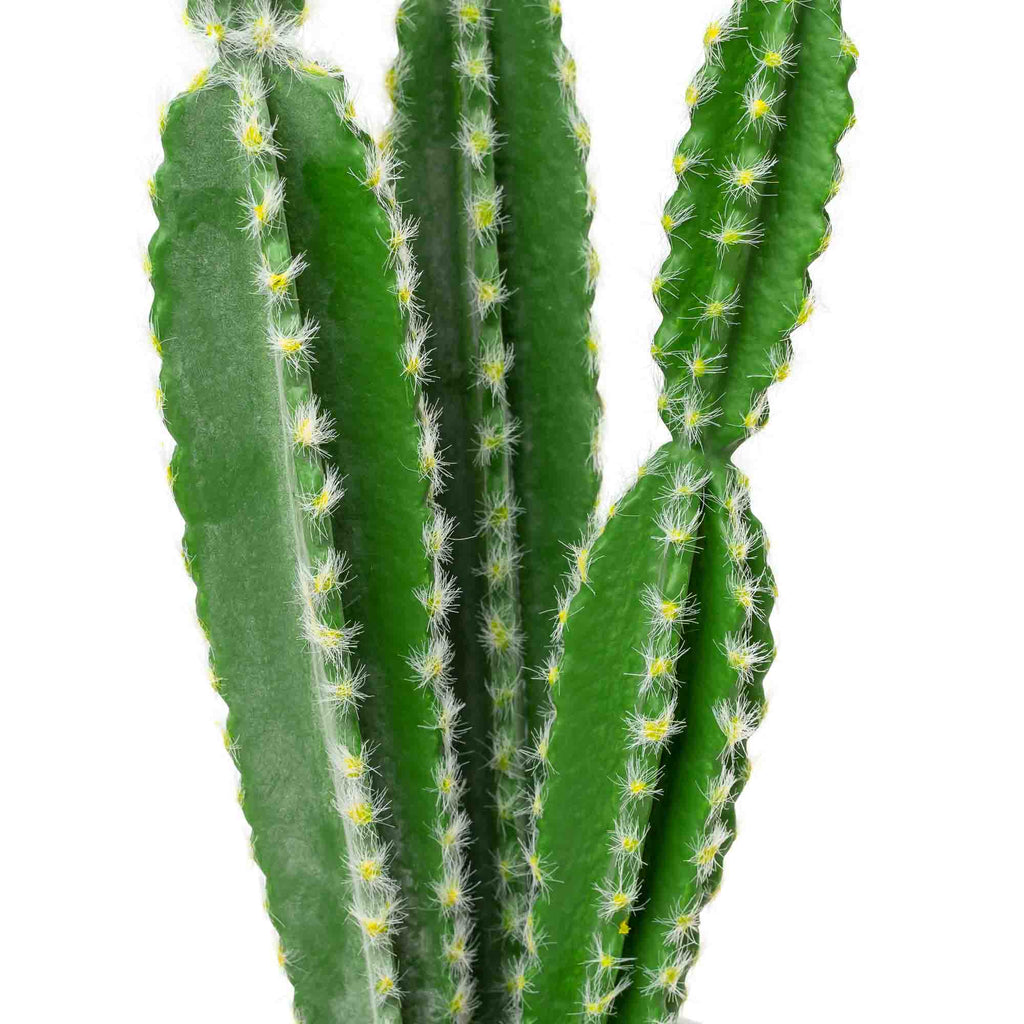 Faux Euphorbia Cactus with Ceramic Pot 24"