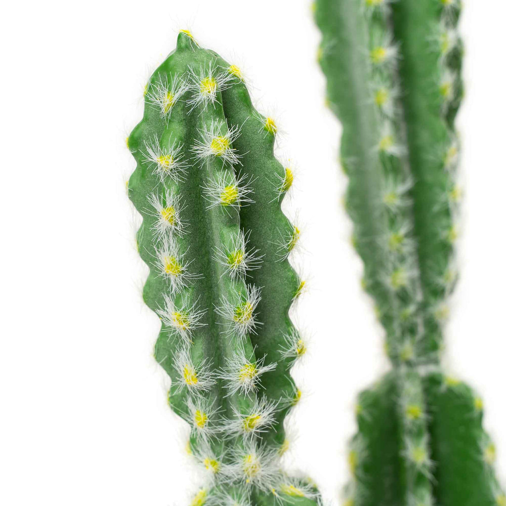 Faux Euphorbia Cactus with Ceramic Pot 24"