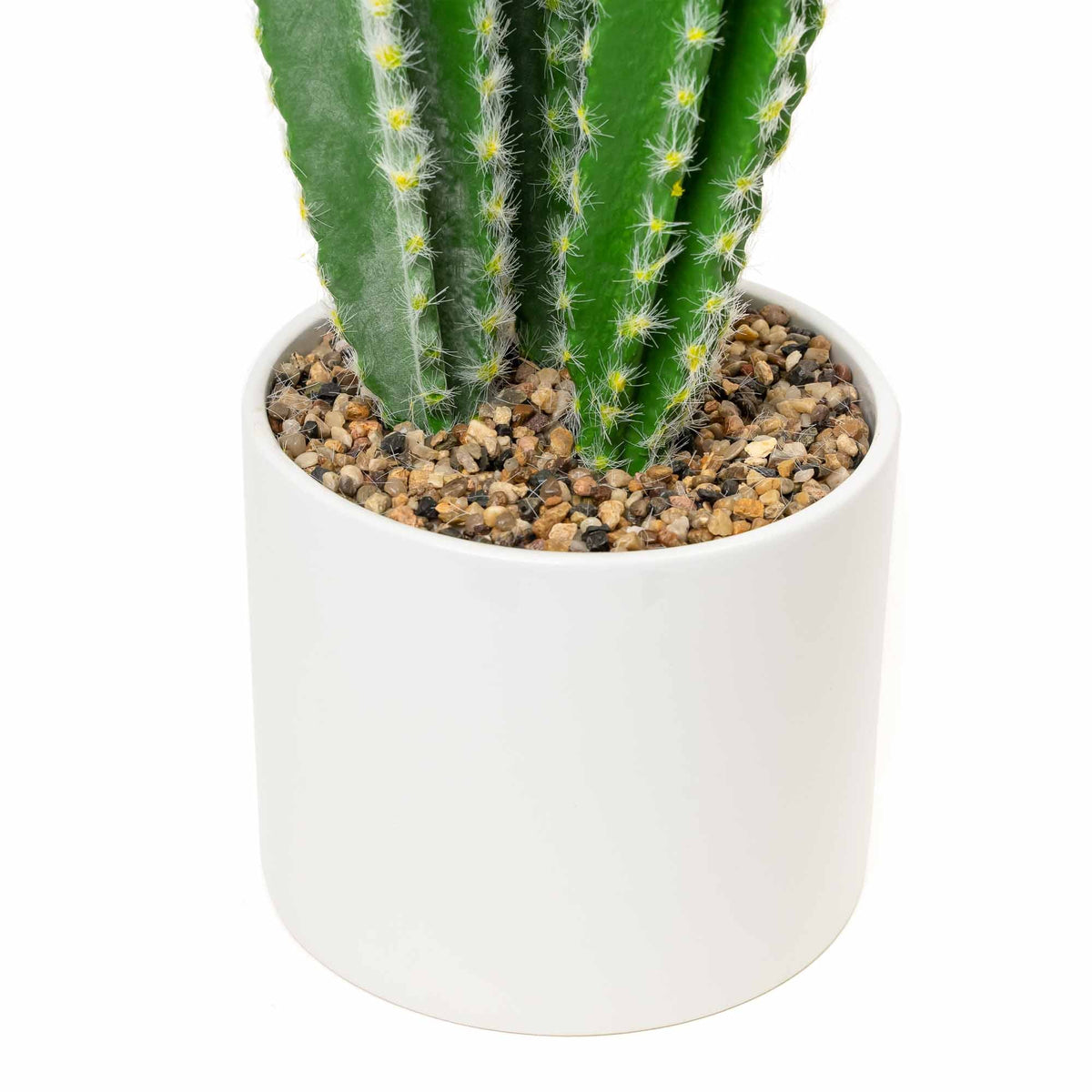 Faux Euphorbia Cactus with Ceramic Pot 24"