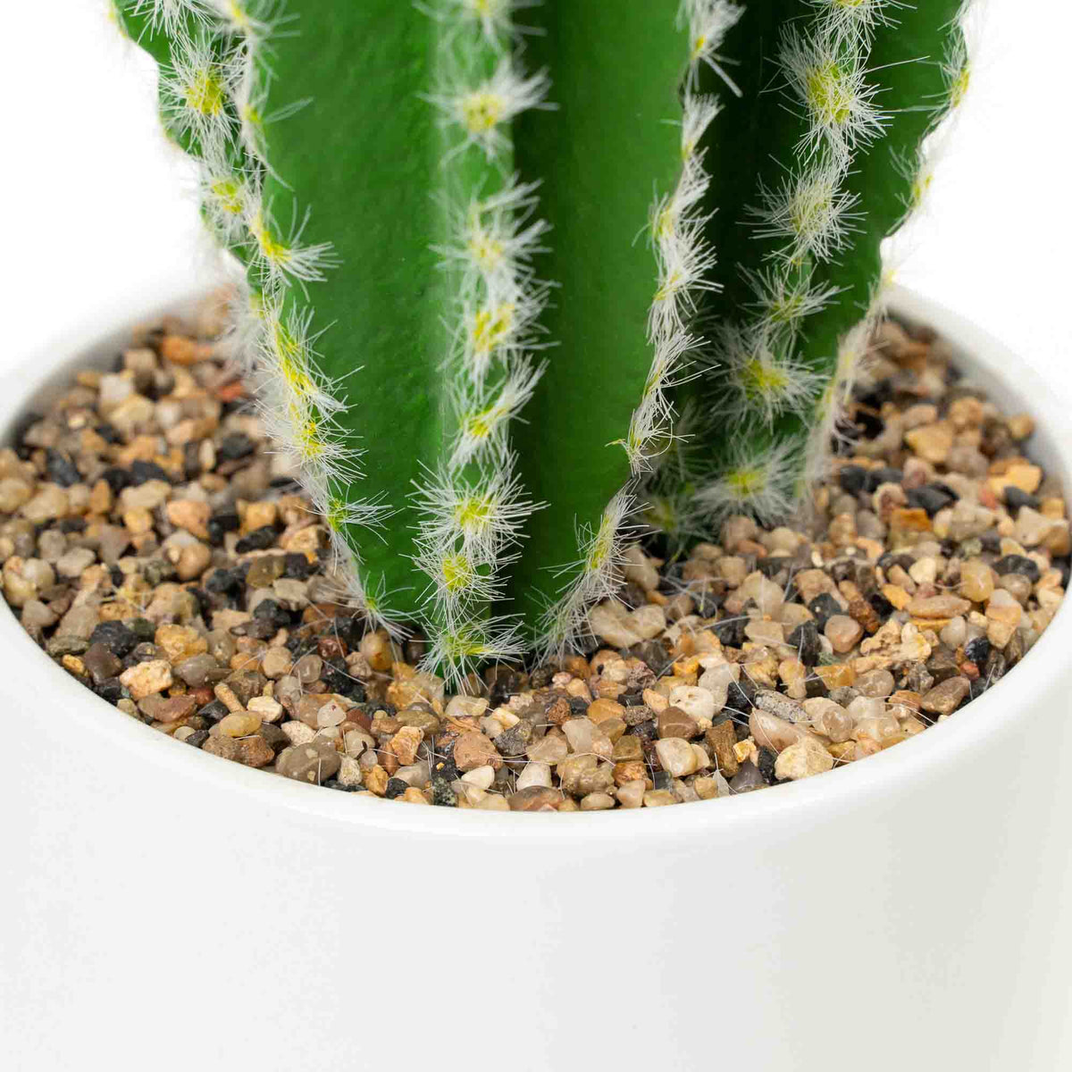Faux Euphorbia Cactus with Ceramic Pot 24"