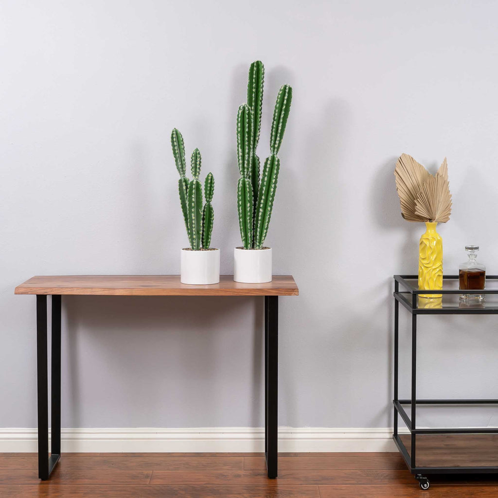 Faux Euphorbia Cactus with Ceramic Pot 34"