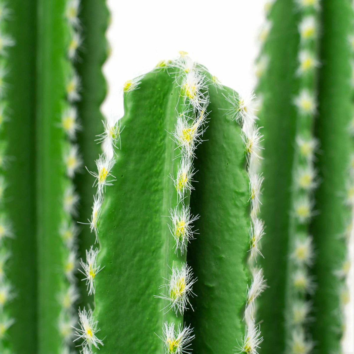 Faux Euphorbia Cactus with Ceramic Pot 34"