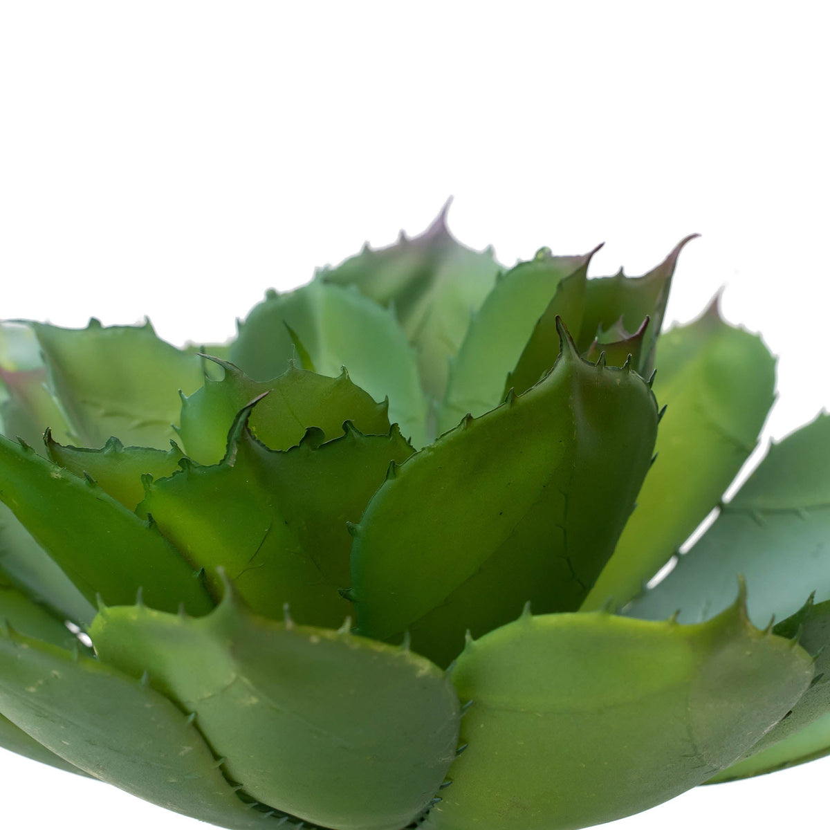 Faux Echeveria Curly Locks Succuelent