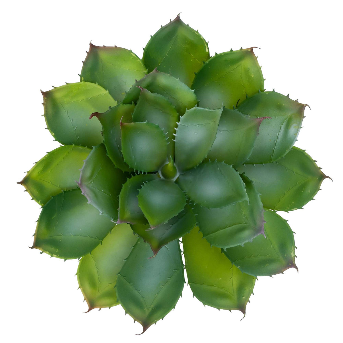 Faux Echeveria Curly Locks Succuelent