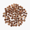 Natural Mini Pinecones