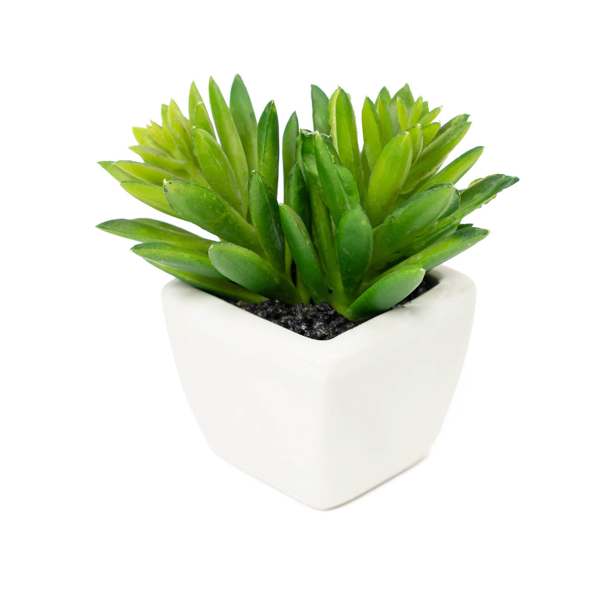 Artificial Assorted Succulents with Ceramic Pots - Set of 12