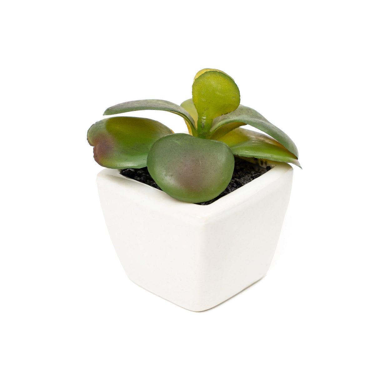 Artificial Assorted Succulents with Ceramic Pots - Set of 12