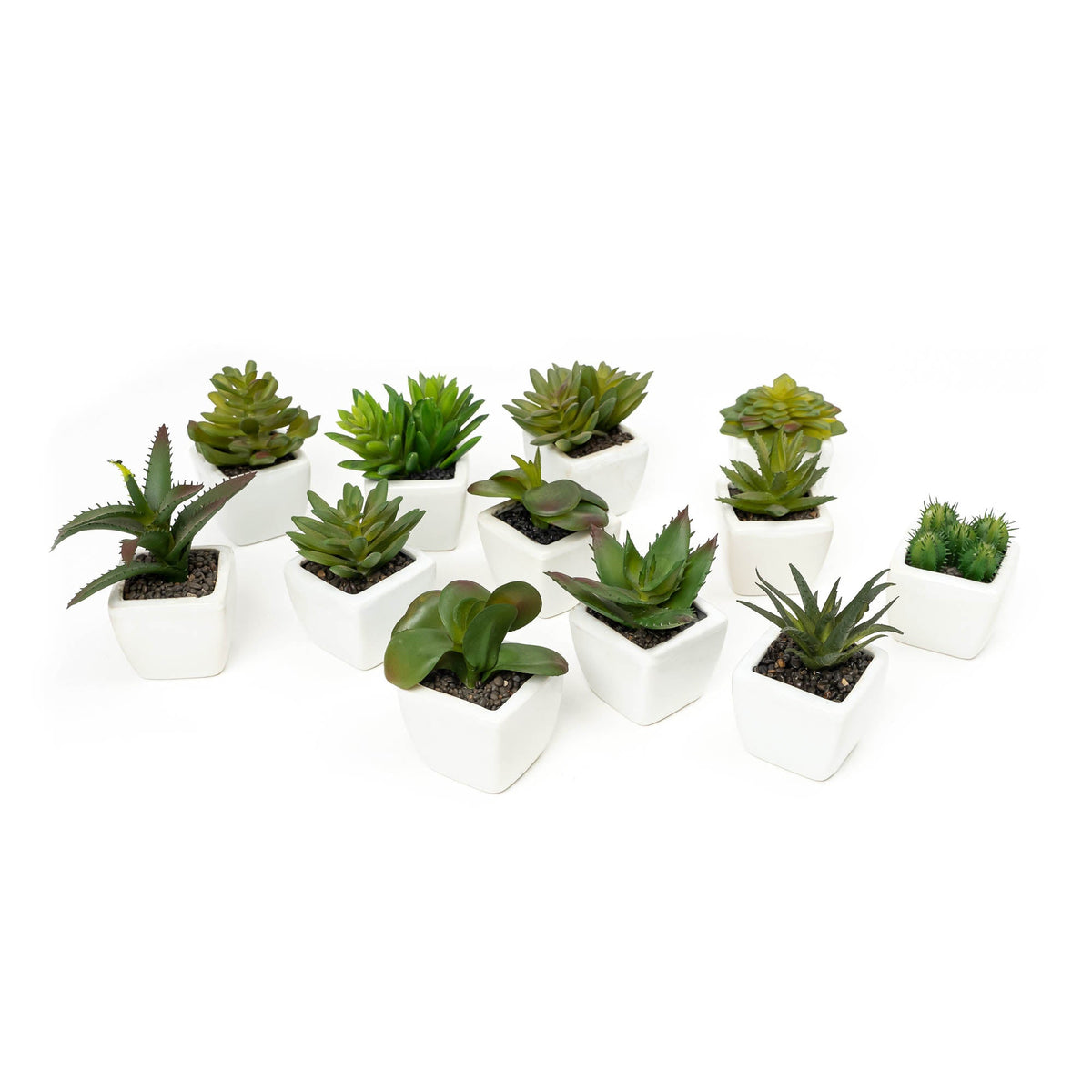 Artificial Assorted Succulents with Ceramic Pots - Set of 12