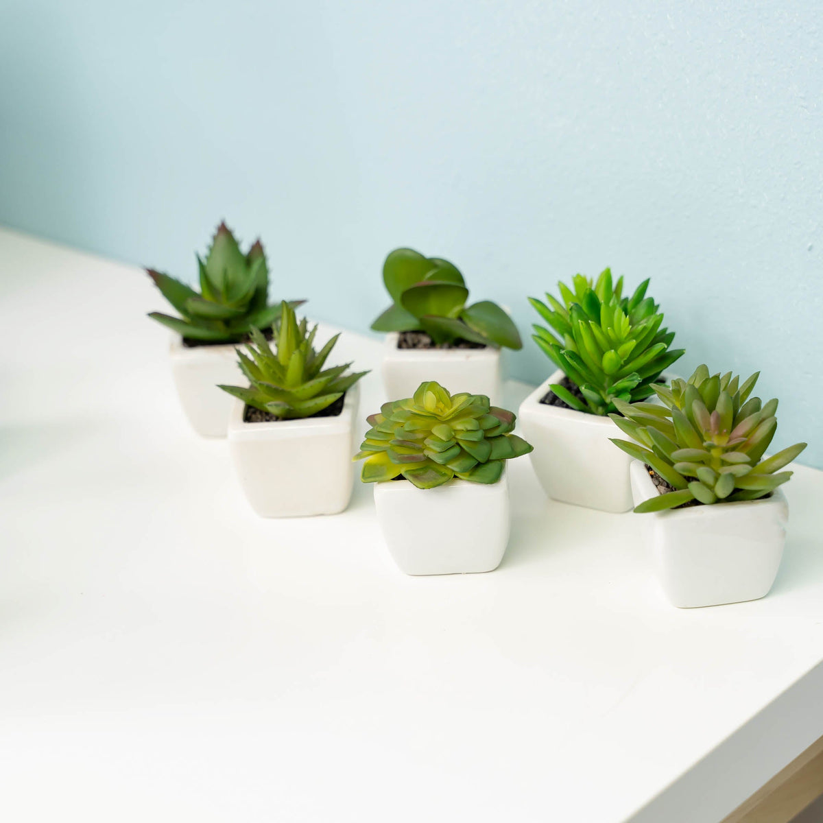 Artificial Assorted Succulents with Ceramic Pots - Set of 12