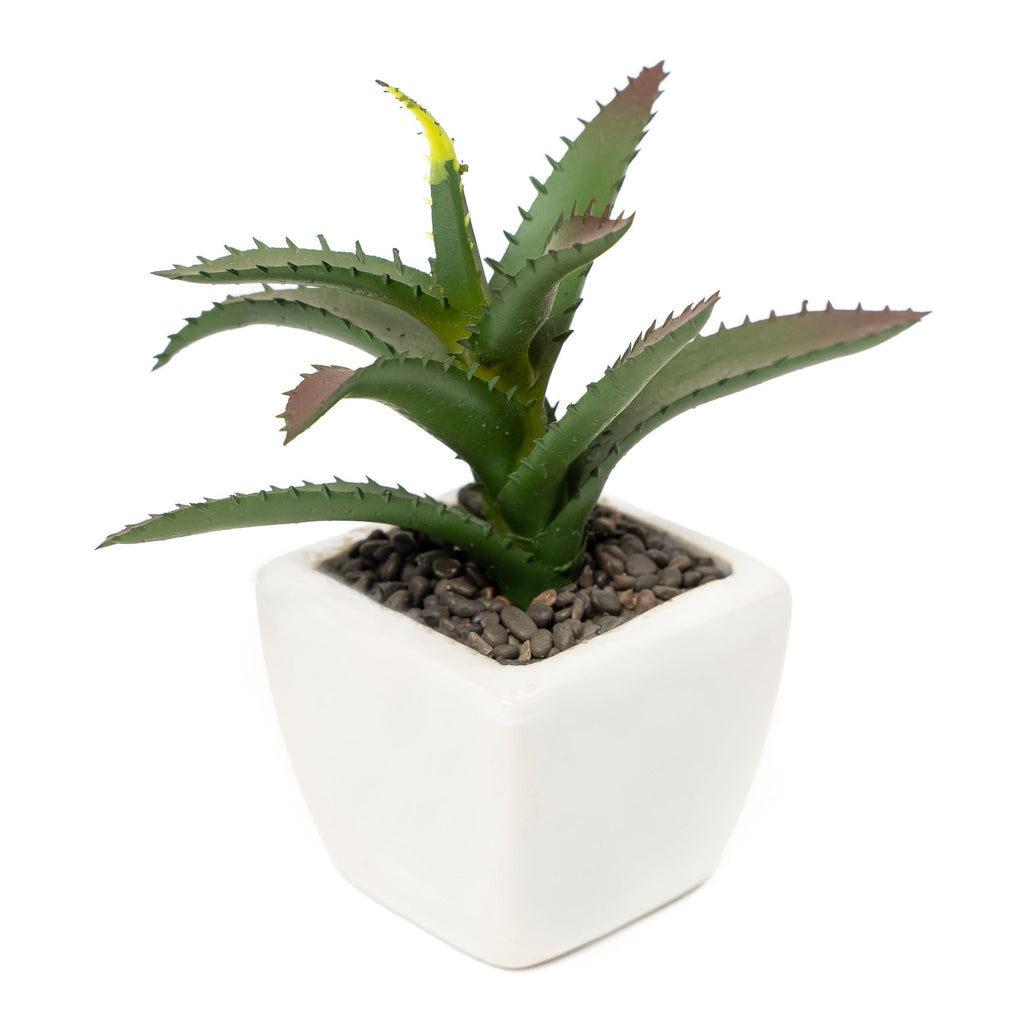 Artificial Assorted Succulents with Ceramic Pots - Set of 12
