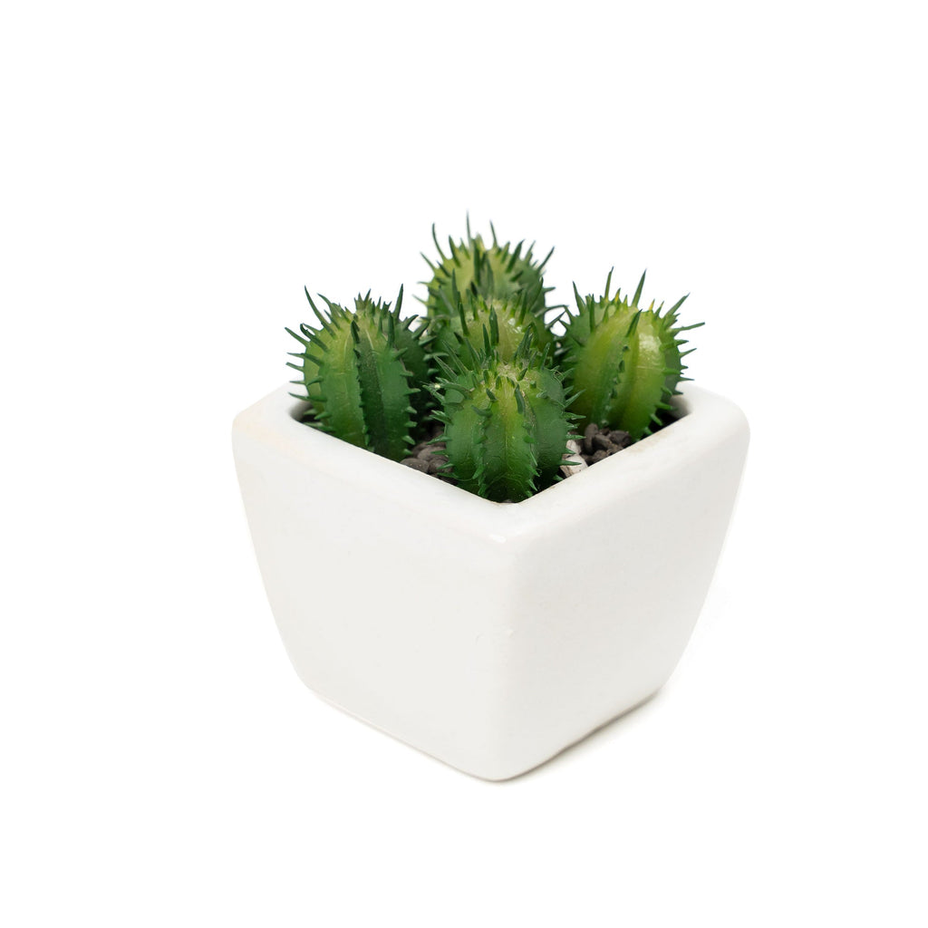 Artificial Assorted Succulents with Ceramic Pots - Set of 12