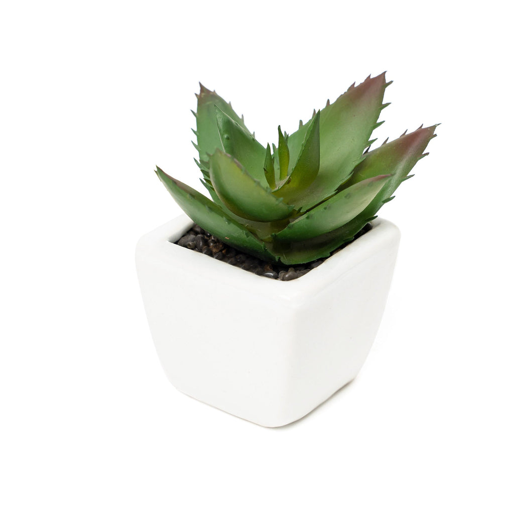 Artificial Assorted Succulents with Ceramic Pots - Set of 12